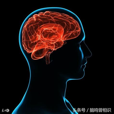 腦嗚的原因|腦鳴是怎麼回事、腦鳴的最新治療方法